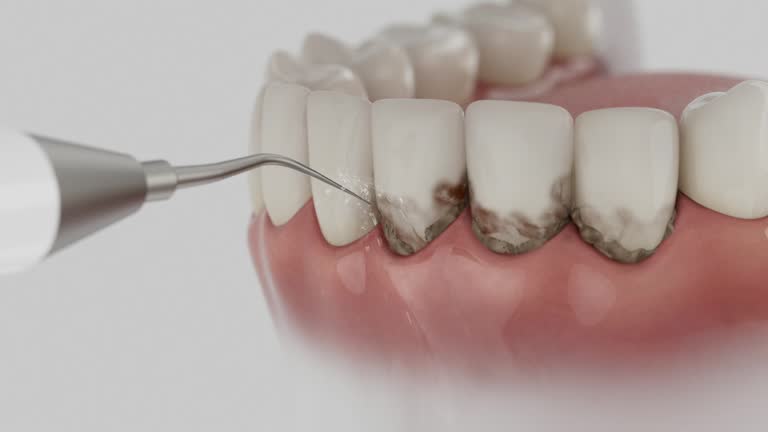 Reliable Dental contractor in Morgandale, OH by Dentist Open Now